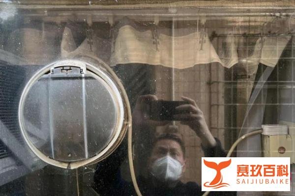 蔡天凤案进展:警方已寻回其头颅