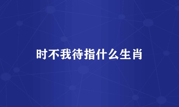 时不我待指什么生肖