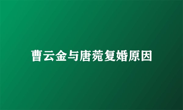 曹云金与唐菀复婚原因