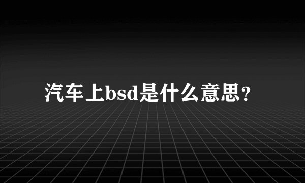 汽车上bsd是什么意思？