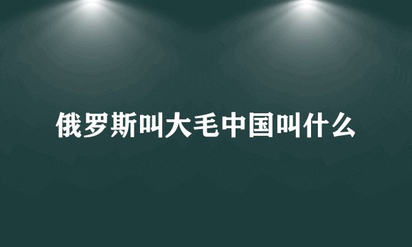 俄罗斯叫大毛中国叫什么