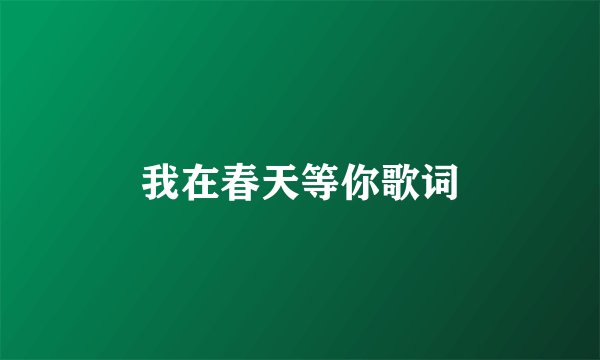 我在春天等你歌词