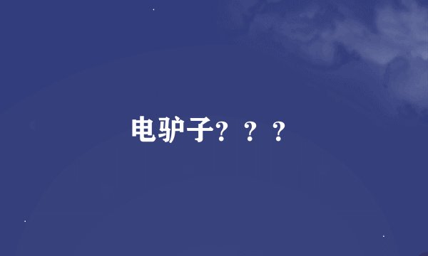 电驴子？？？