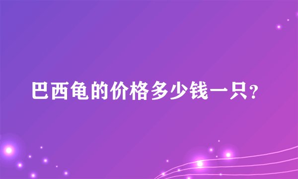 巴西龟的价格多少钱一只？