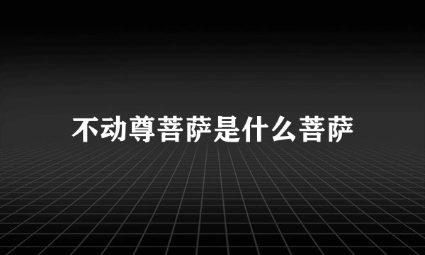 不动尊菩萨是什么菩萨