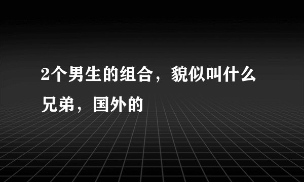 2个男生的组合，貌似叫什么兄弟，国外的