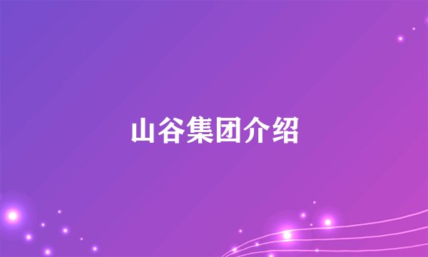 山谷集团介绍