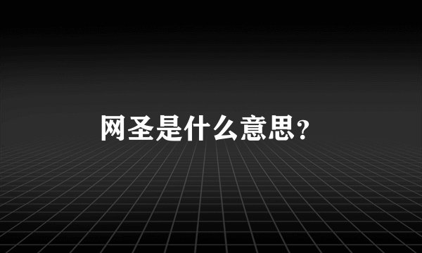 网圣是什么意思？
