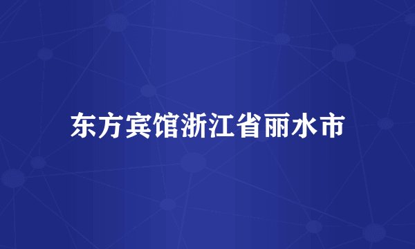 东方宾馆浙江省丽水市