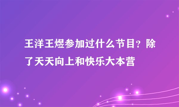 王洋王煜参加过什么节目？除了天天向上和快乐大本营