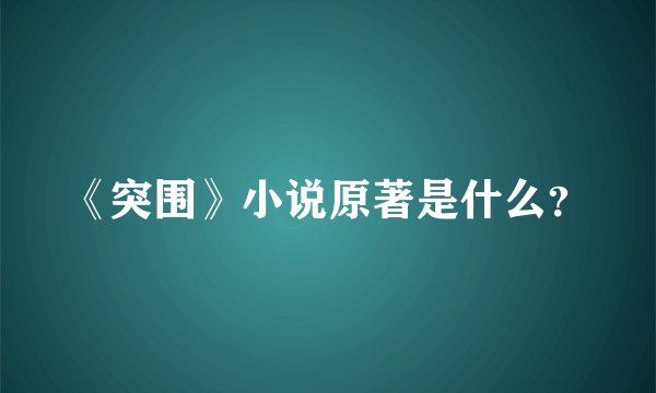 《突围》小说原著是什么？