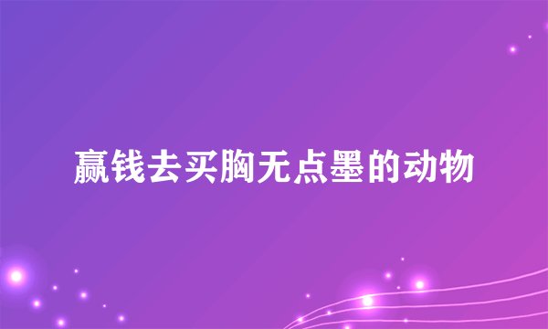 赢钱去买胸无点墨的动物