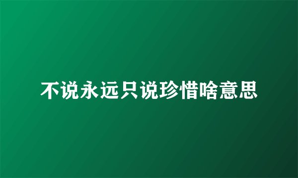 不说永远只说珍惜啥意思