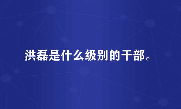 洪磊是什么级别的干部。