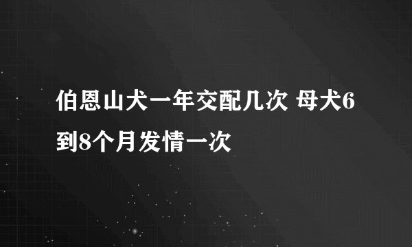 伯恩山犬一年交配几次 母犬6到8个月发情一次