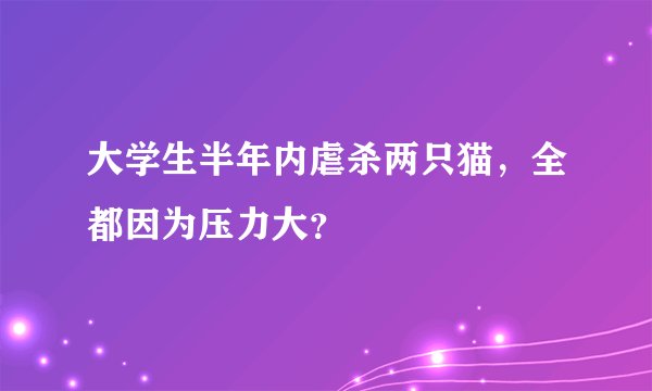 大学生半年内虐杀两只猫,全都因为压力大?