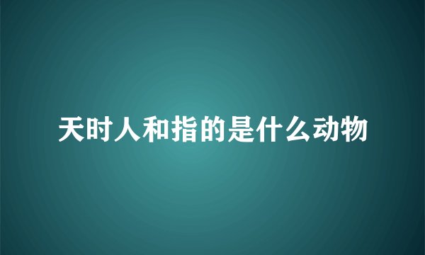 天时人和指的是什么动物