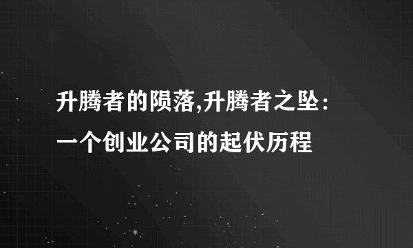 升腾者的陨落,升腾者之坠：一个创业公司的起伏历程