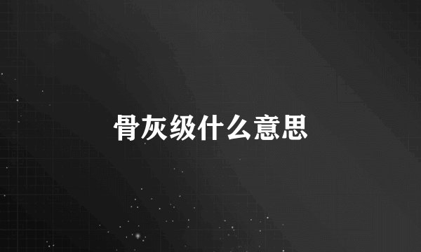 骨灰级什么意思