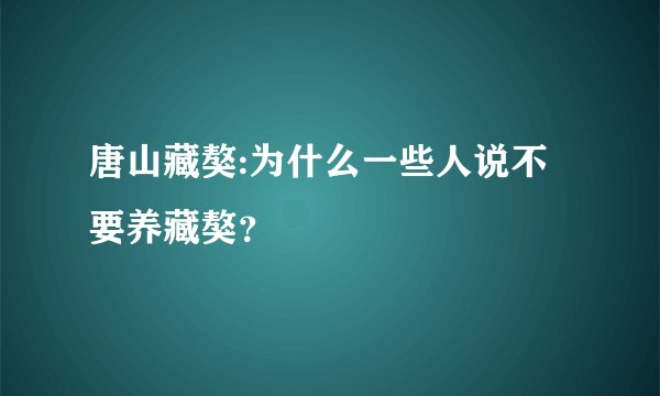 唐山藏獒:为什么一些人说不要养藏獒？