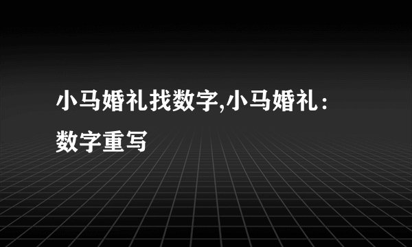小马婚礼找数字,小马婚礼：数字重写