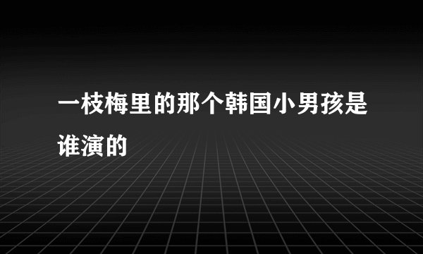 一枝梅里的那个韩国小男孩是谁演的