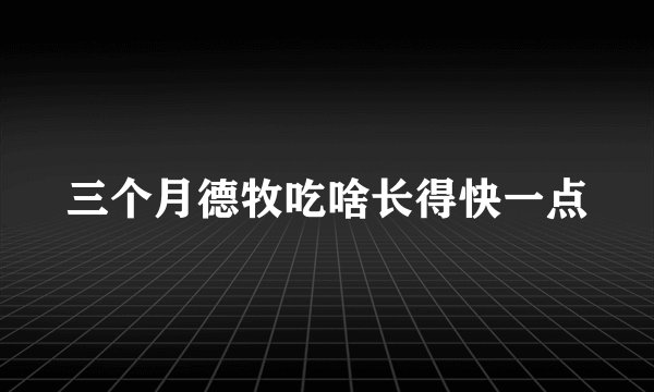 三个月德牧吃啥长得快一点