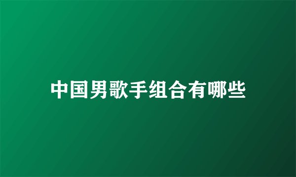 中国男歌手组合有哪些
