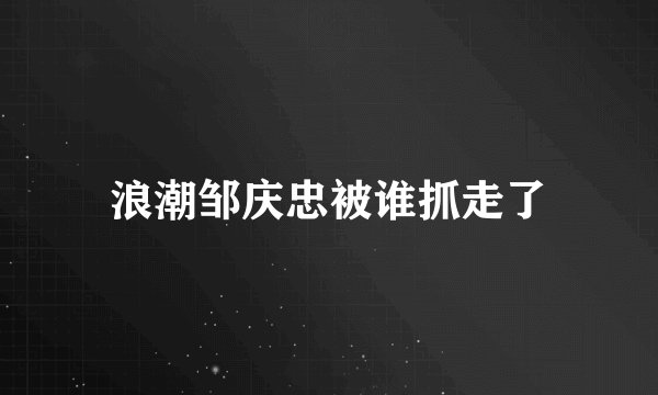 浪潮邹庆忠被谁抓走了