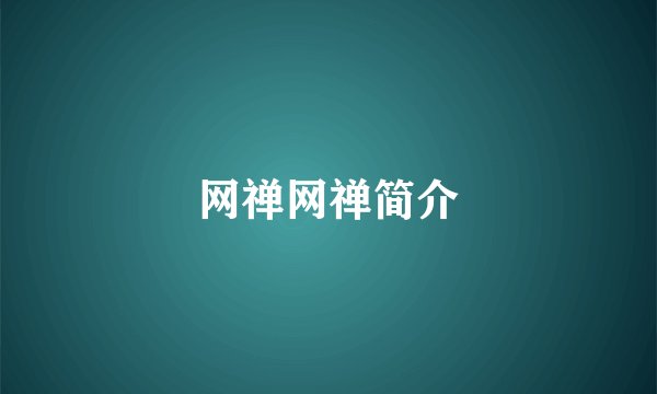网禅网禅简介