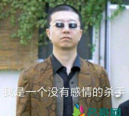 酷盖是什么梗什么意思 酷盖出处在哪