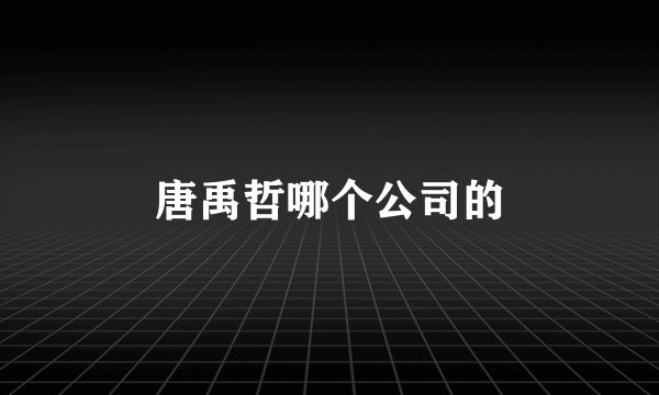 唐禹哲哪个公司的