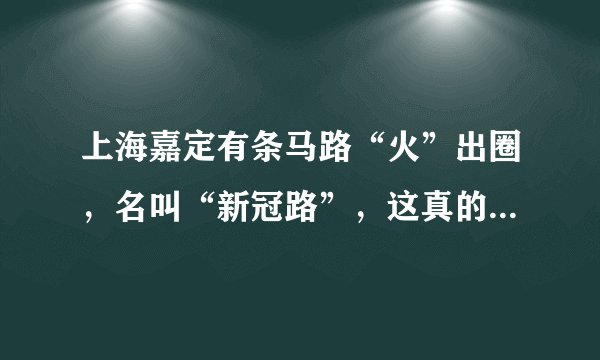 上海嘉定有条马路“火”出圈，名叫“新冠路”，这真的是巧合吗？
