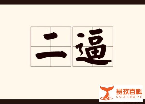 关于“二逼”一词