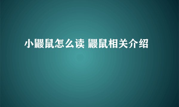 小鼹鼠怎么读 鼹鼠相关介绍