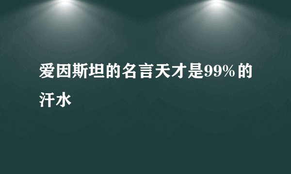 爱因斯坦的名言天才是99%的汗水