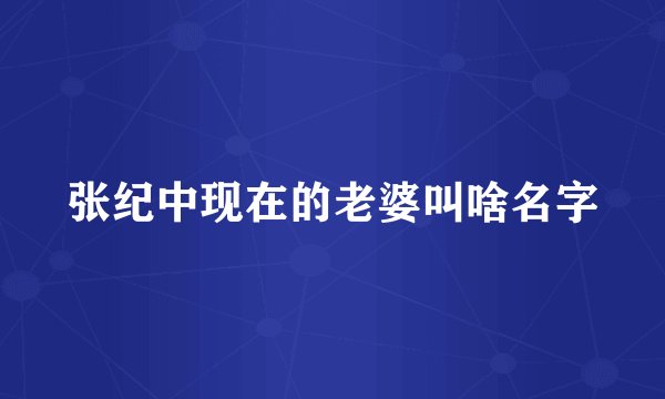 张纪中现在的老婆叫啥名字