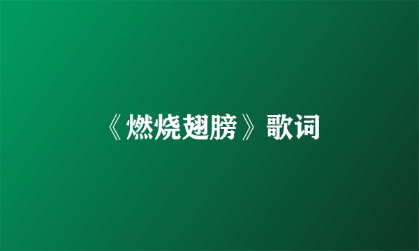 《燃烧翅膀》歌词