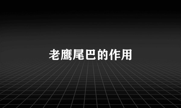 老鹰尾巴的作用