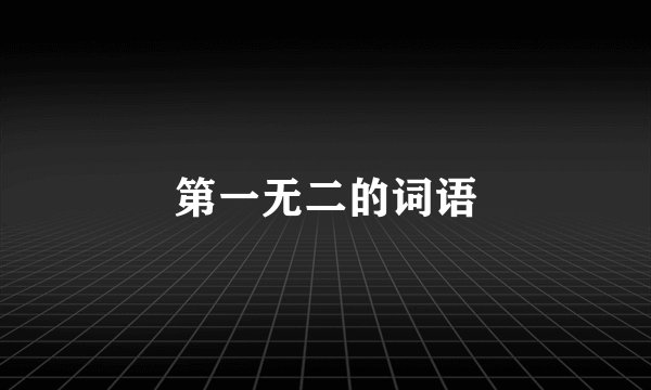 第一无二的词语