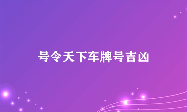 号令天下车牌号吉凶