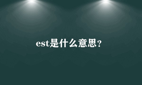 est是什么意思？