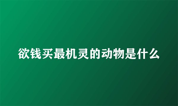 欲钱买最机灵的动物是什么