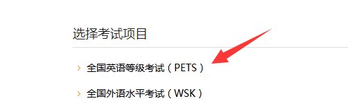 怎么查英语3级B的成绩?