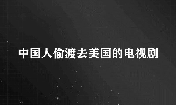中国人偷渡去美国的电视剧