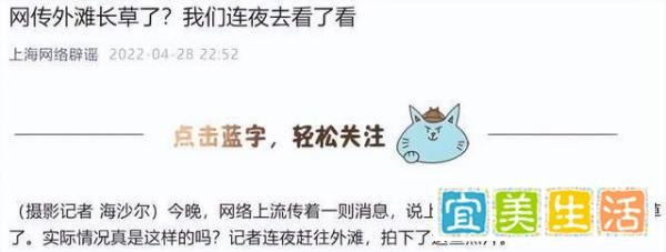 上海“外滩长草”引热议，不求真务实盲目辟谣，越辟越谣