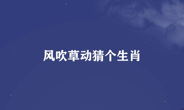 风吹草动猜个生肖