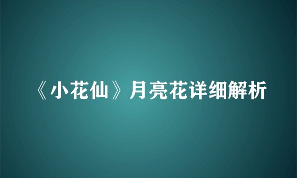 《小花仙》月亮花详细解析