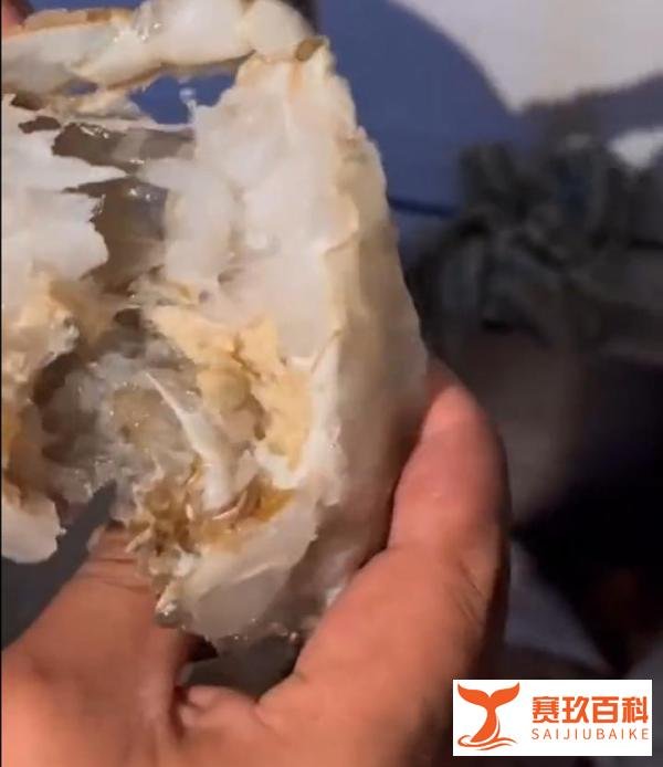 男子400元买4箱海鲜解冻后全是空壳,可怜之人必有可恨之处!