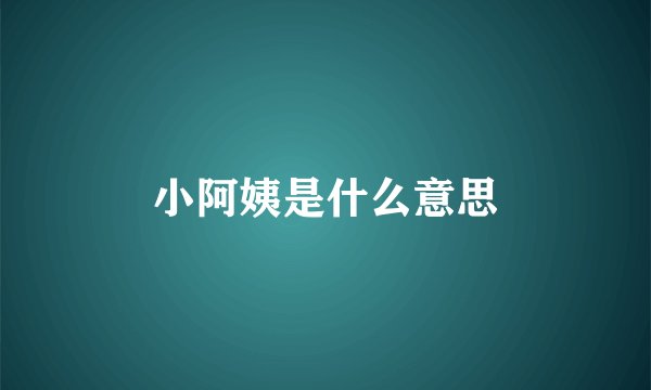 小阿姨是什么意思